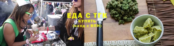 ПСИЛОЦИБИНОВЫЕ ГРИБЫ Горно-Алтайск