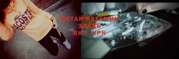 ПСИЛОЦИБИНОВЫЕ ГРИБЫ Горно-Алтайск