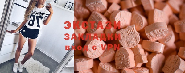 стаф Вязьма