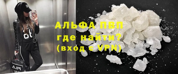 стаф Вязьма