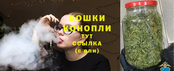 стафф Верхний Тагил